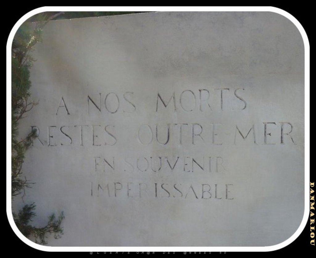 2012 11 01 NOVEMBRE MAZARGUES  (2) PAR GUY MONTANER.jpg